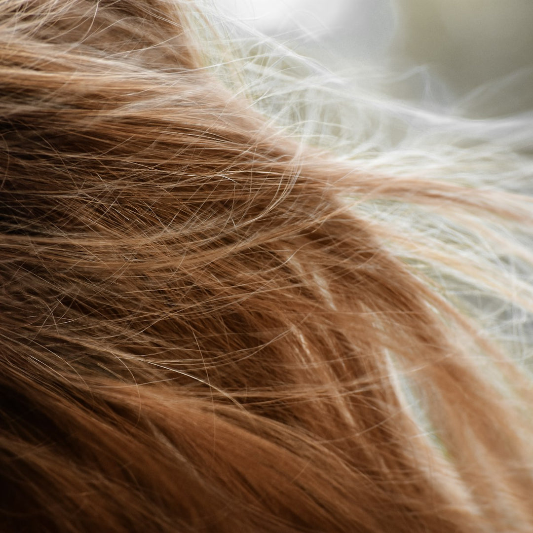 EP-TILE-HAIR-SQ Glossy brown hair texture